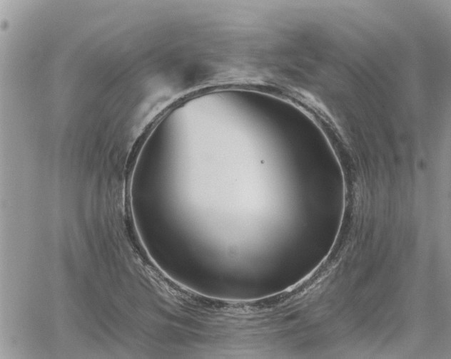 X0000062171220200512121232