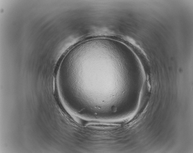 X0000062171221200512121232