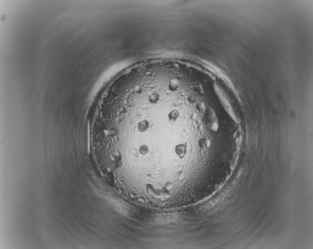 X0000062171223200512121232