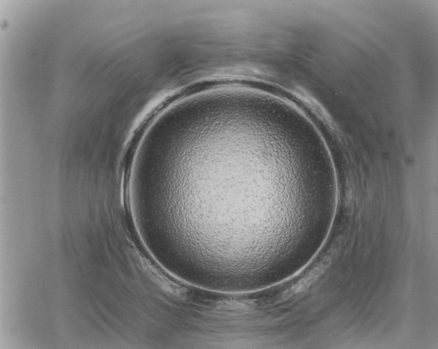 X0000062171224200512121232