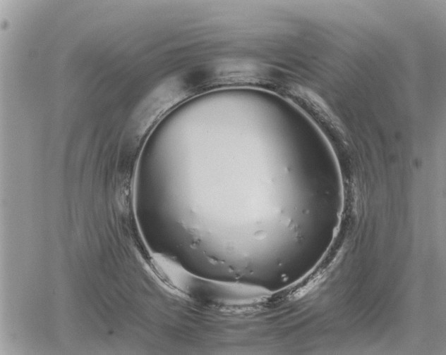 X0000062171225200512121232