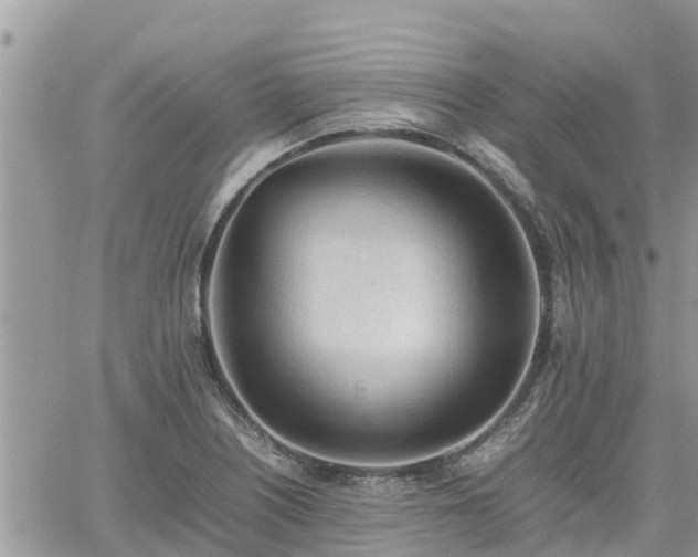 X0000062171226200512121232