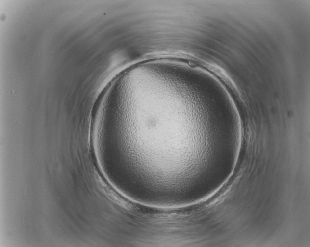 X0000062171228200512121232