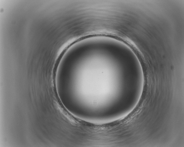 X0000062171230200512121232