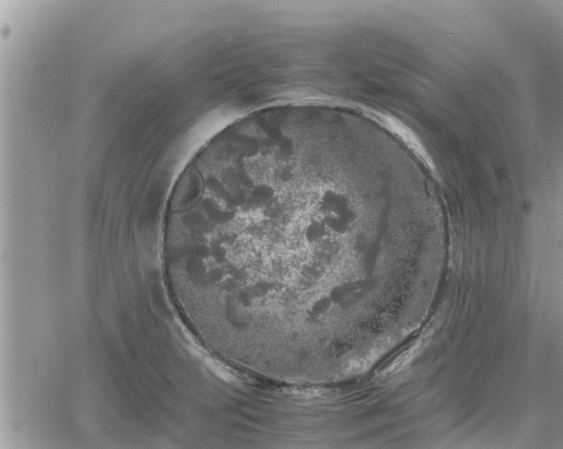 X0000062171231200512121232