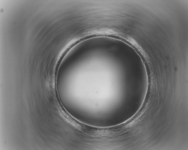 X0000062171232200512121232