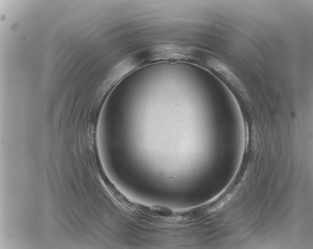 X0000062171233200512121232