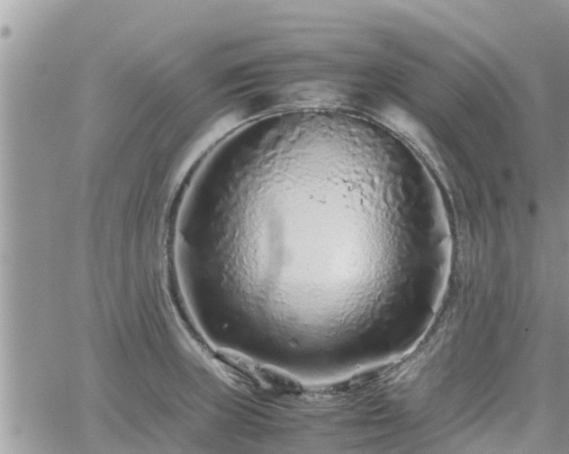 X0000062171235200512121232