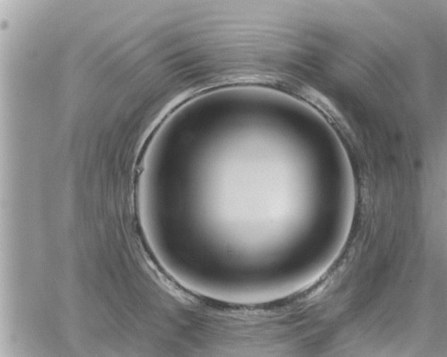 X0000062171236200512121232