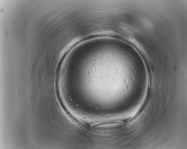 X0000062171237200512121232