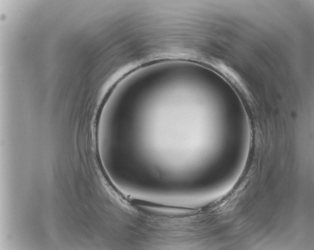 X0000062171238200512121232