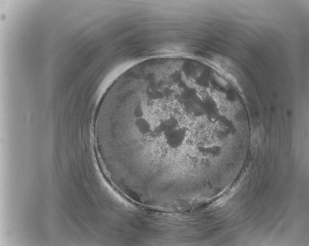 X0000062171239200512121232