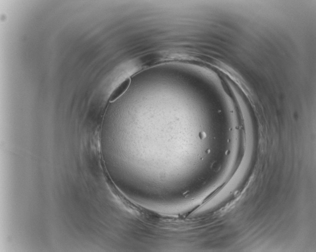 X0000062171241200512121232