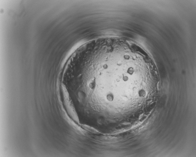 X0000062171243200512121232