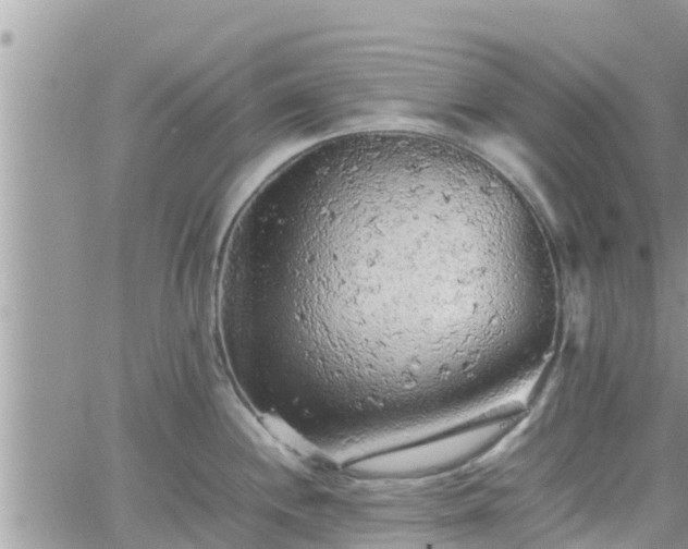 X0000062171244200512121232