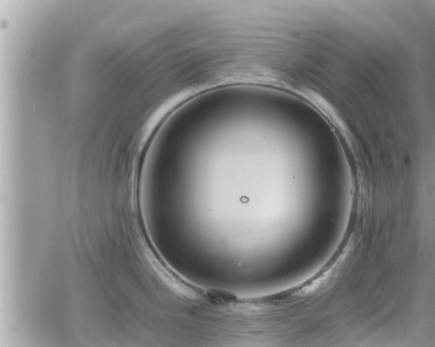 X0000062171246200512121232