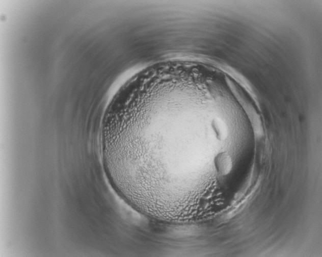 X0000062171247200512121232