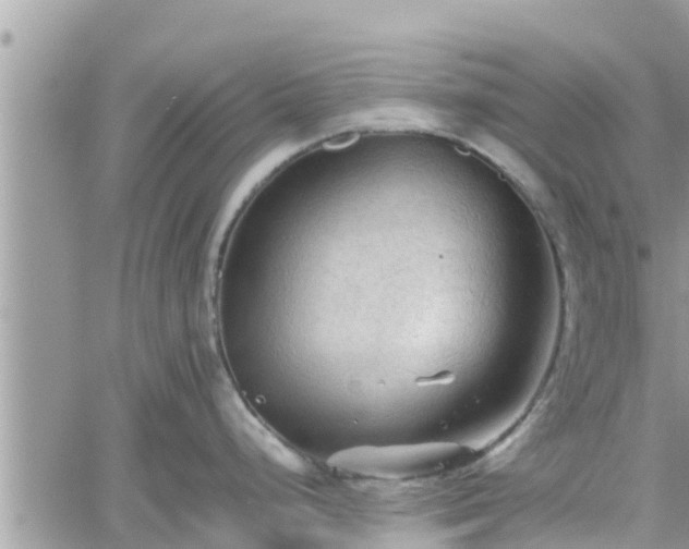 X0000062171248200512121232