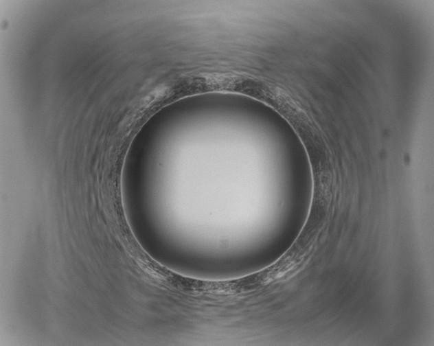 X0000062171249200512121231