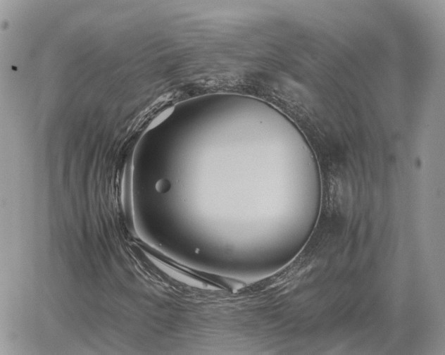 X0000062171250200512121231