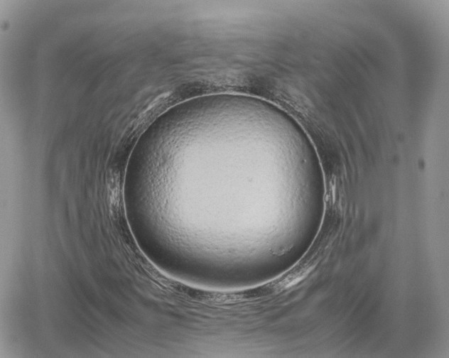 X0000062171251200512121231