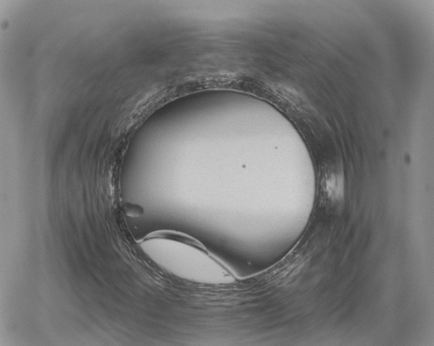 X0000062171252200512121231