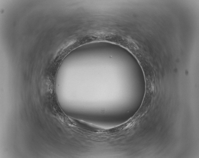 X0000062171253200512121231