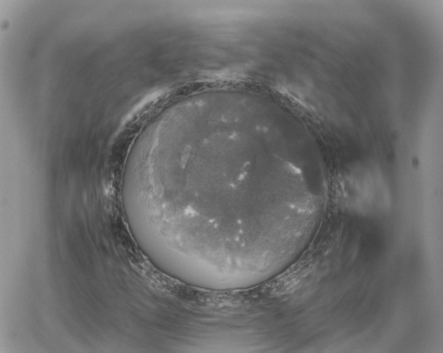 X0000062171254200512121231