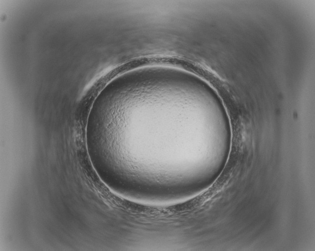 X0000062171255200512121231