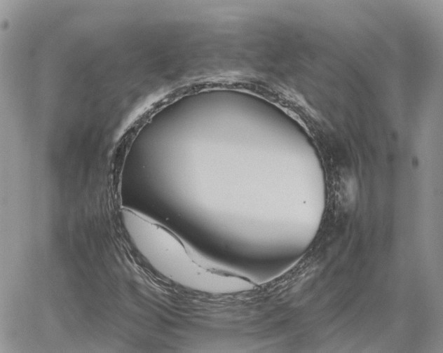 X0000062171256200512121231