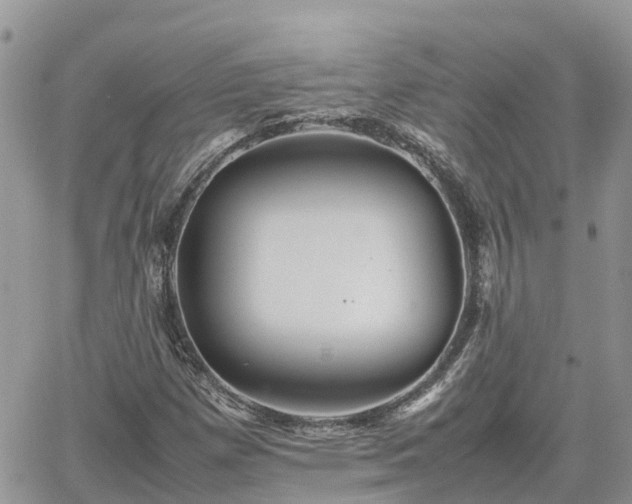 X0000062171257200512121231