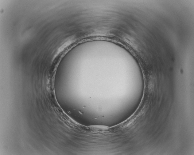 X0000062171258200512121231