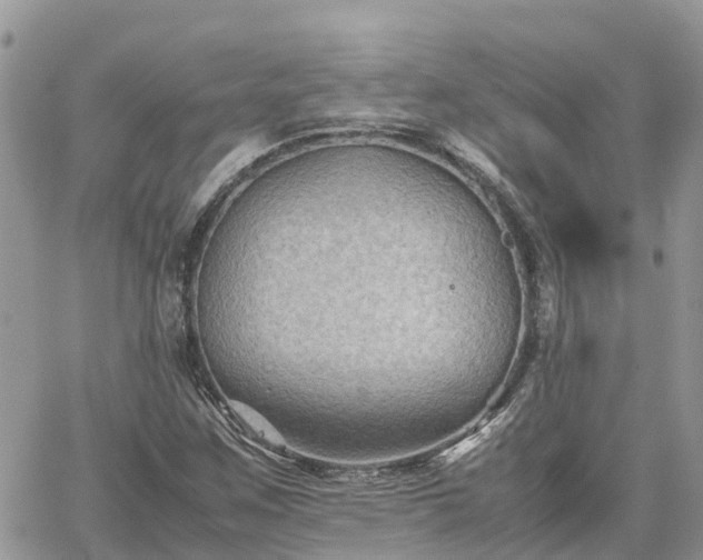 X0000062171259200512121231