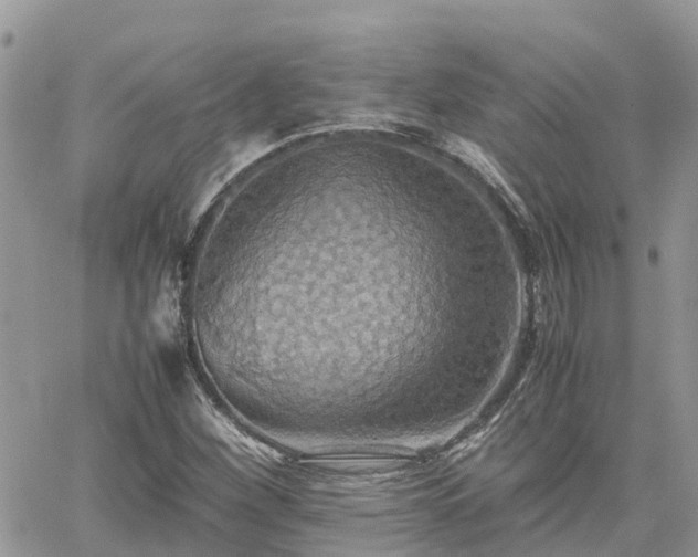 X0000062171260200512121231