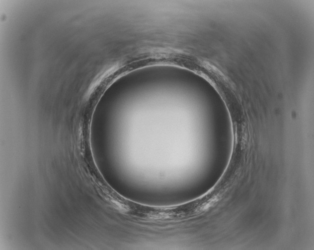 X0000062171261200512121231