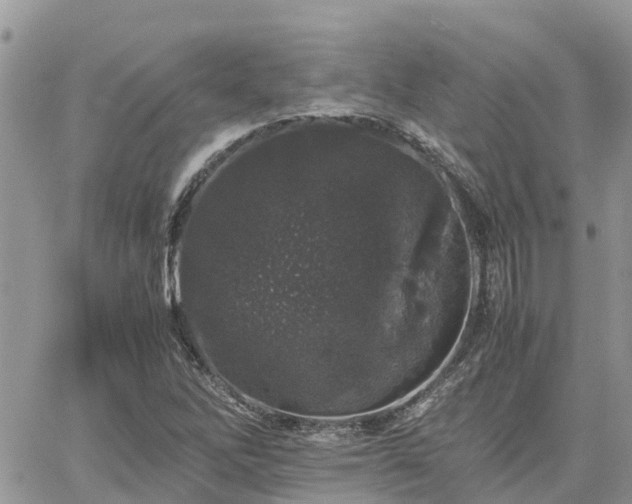 X0000062171262200512121231