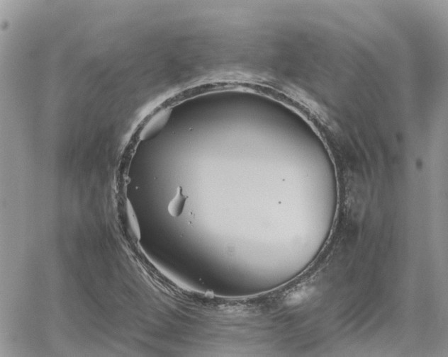 X0000062171264200512121231