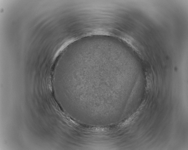 X0000062171266200512121231