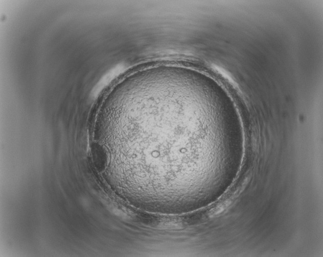 X0000062171267200512121231