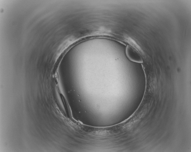 X0000062171268200512121231