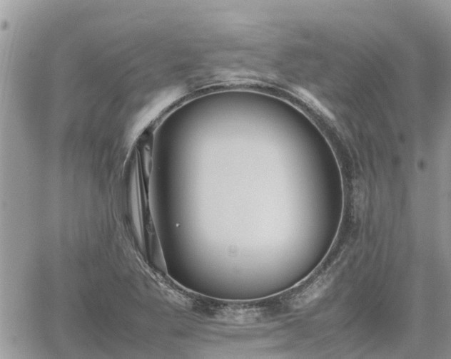 X0000062171269200512121231