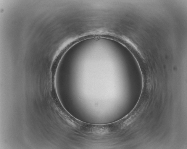 X0000062171270200512121231