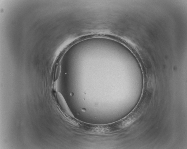 X0000062171271200512121231