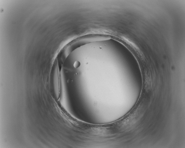 X0000062171272200512121231