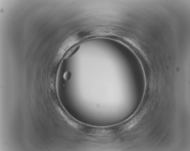 X0000062171273200512121231