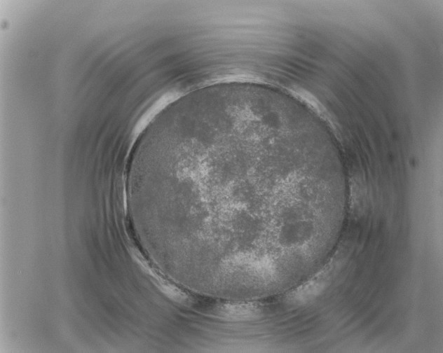 X0000062171274200512121231