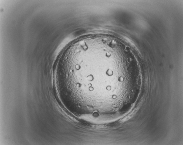 X0000062171275200512121231