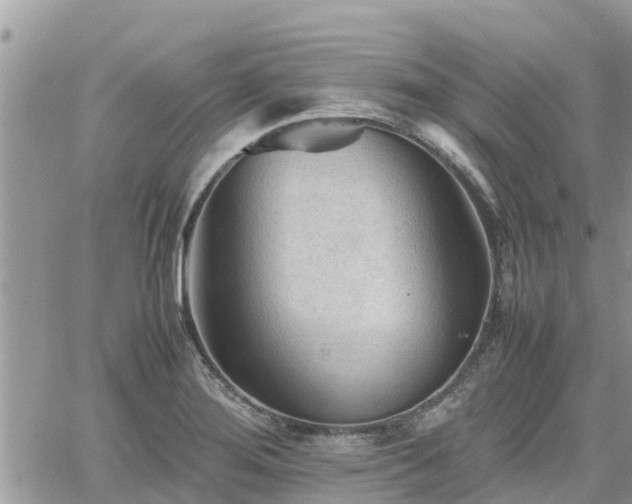 X0000062171276200512121231