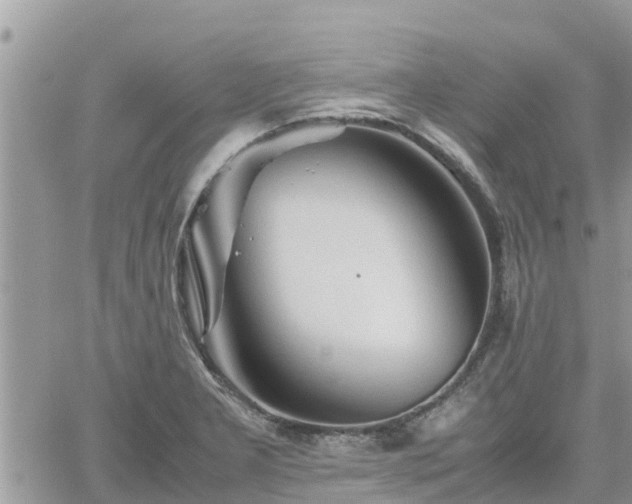 X0000062171277200512121231