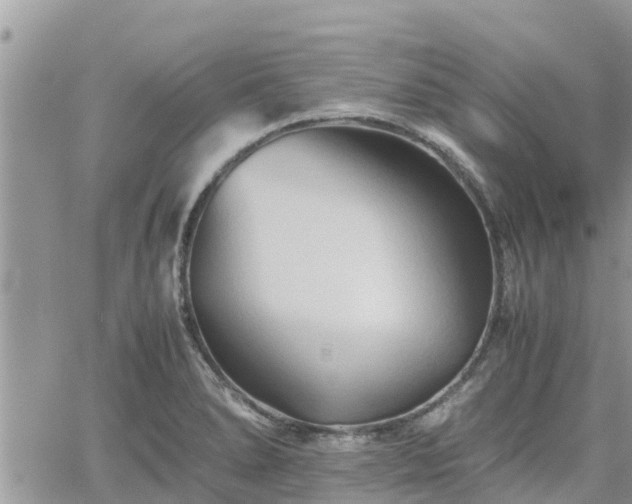 X0000062171278200512121231